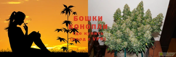 mdpv Волоколамск