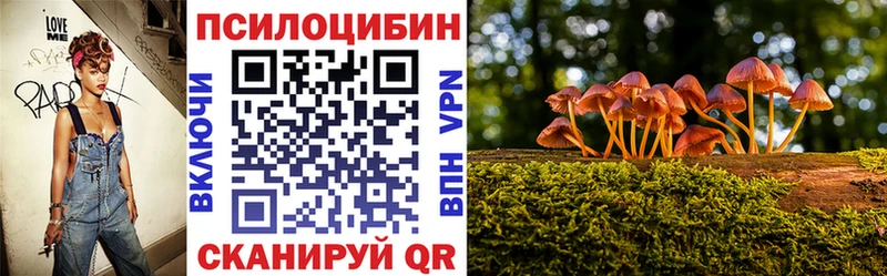 Купить закладки  Тихвин  Псилоцибиновые грибы Cubensis 